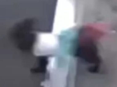 狗狗在费城Target被盗,警方追缉四名嫌疑人